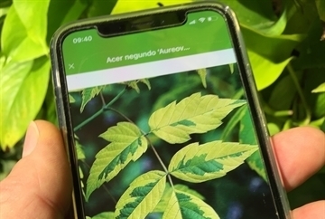 Startseite AuGaLa